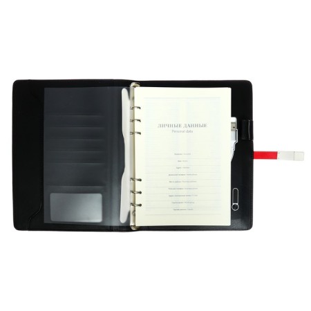 Organizer on the rings, PVC, A5.140 liters, cage, with a pen, gifts. Box, flash drive, exercise, mix-7