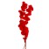 Sukhotzet of peach wood, 50 g, length - 70 cm, red color