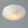 Lamp Oasis 1x60W E27 25x25x4.5cm