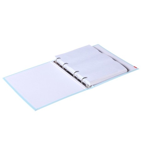 Notebook on rings, 160 sheets in the “Arbuziki” cage, hard cover, glossy lamination, with a change of block-3