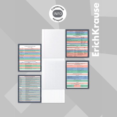 A set of subject notebooks 48 sheets, 12 pieces, Erichkrause "Chubrik", plastic cover silk-screen covers, Blok Offset 100%, information block-25