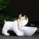 Buldog candidate stand white 16x27cm