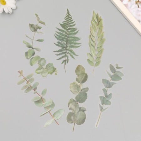 Plastic stickers "leaves and quotes. Green" set 12 pcs 8.5x21.5x0.2 cm-4