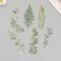 Plastic stickers "leaves and quotes. Green" set 12 pcs 8.5x21.5x0.2 cm
