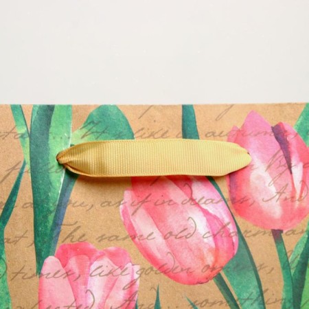 Package Gift Craft Vertical, Packaging, Tulips, Ml 23 x 27 x 11.5 cm-2
