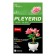 Designer "Flowers in a pot", 6 species, mix