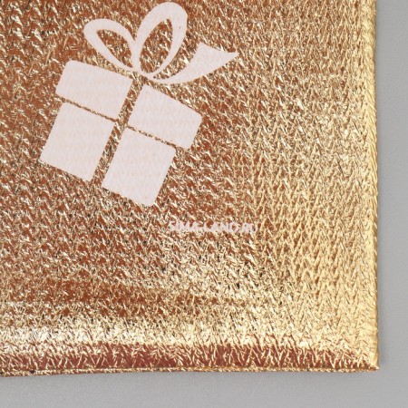 Gift Boach Boach “Wishes Fulfill”, 16 x 24 cm +/- 1.5 cm, New Year-4