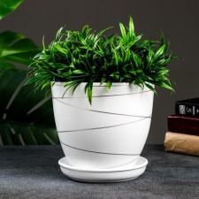 Flower pot 