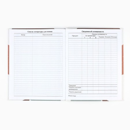 School diary for grade 1-11, in an integrated cover, 40 l. "Abstraction"-3