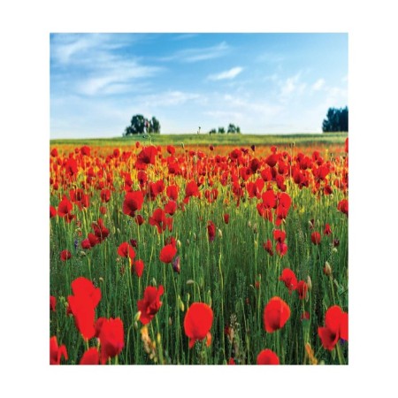 Set of napkins for setting the table "poppy field", rectangular, size 32x46 cm, 4 pcs-2