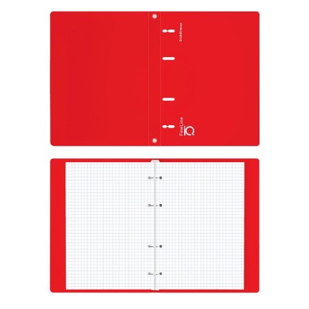 Notebook on rings A5 100 sheets of Erichkrause IQ Fineline Classic Plastic Cover Red, OFSET 80 g/m², White is 100% mix-2