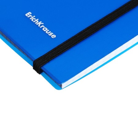 Notebook A6 (120 x 146 mm), 80 sheets in a cage on the crest Erichkrause "Ice Metallic", plastic cover, elastic band, offset unit, white 100%, mix-18