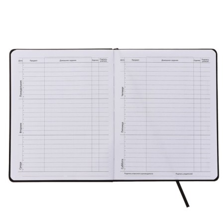 Universal diary for grade 1-11 do not enter, integral cover, artificial leather, silkography, lies, 80 g/m2-5