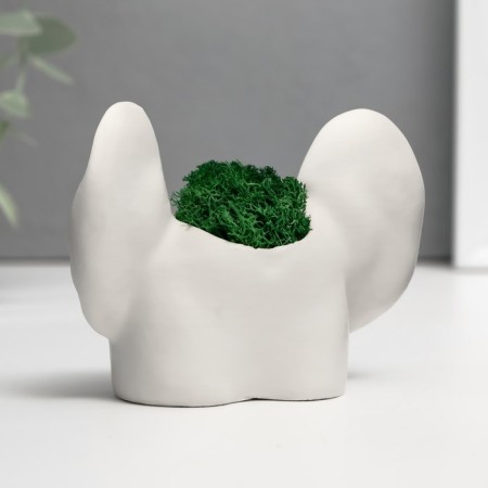 Kashpo concrete "ass with ears" with moss 8*10cm white (moss green stabilized)-3