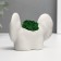 Kashpo concrete "ass with ears" with moss 8*10cm white (moss green stabilized)