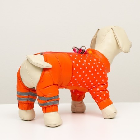 Kombinson for dogs "peas", size 16 (DS 30 cm, OG 44 cm, Osh 34 cm), red-2