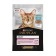 Wet food PRO PLAN DELICATE for cats, ocean fish in sauce, spider, 85 g