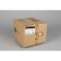 Wall lamp (sconces) Elza E14 40W