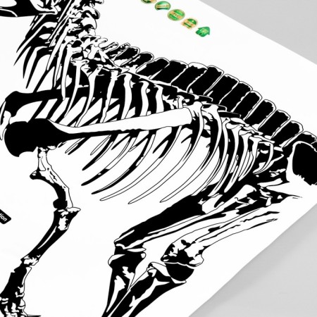 Sticker Plastic Interior Black Tyranosaurus 50x70 cm-2