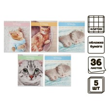 A set of notebooks of 5 pieces (4 different + 1 repeating), 36 sheets in the Calligrata “cats” cage, covered paper cover, block No. 2, whiteness 75% (gray sheets)