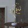 LED bush "Golden pearls" 45 cm, 36 LED, constant glow, AAX3 batteries (not in the kit), USB, glow warm white
