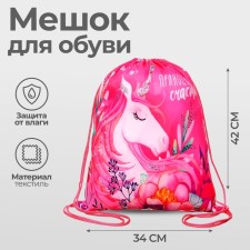 A bag for shoes 420 x 340 mm, calligrata MSO-5s, (soft polyester, density 210d), 