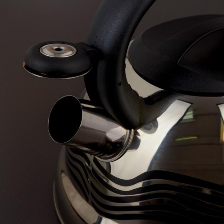 A kettle with a whistle made of stainless steel of a “wave” shares, 2.8 liters, with a heating indicator, a fixed handle-1
