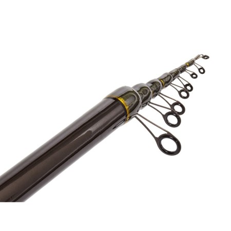 Salmo Diamond Bolognes Light MF rings with rings, 3-15 g, length 5 m.-2