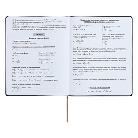 Universal diary for grades 1-11 "strip", solid cover of artificial leather, silkography, lies, 48 ​​sheets, chocolate+turquoise-12