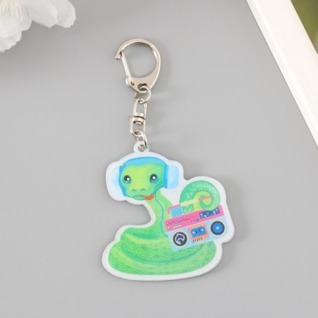 Acryl keychain "Snakes in headphones with tape recorders" 6x4.3 cm