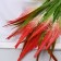 Bouquet "Decorative fern" 32 cm, mix