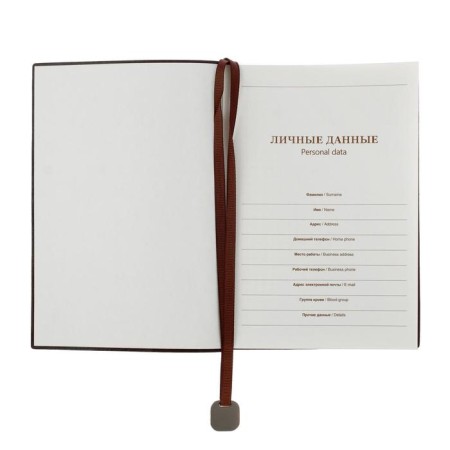 Deliciper of Leduced A6+, 116 sheets in a cage, PVC light cover, tinted cut, mix-3