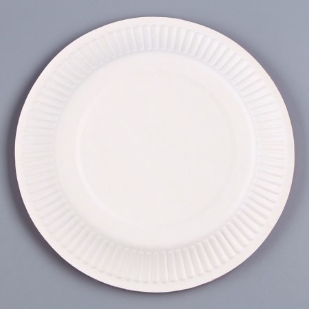 Disposable dishes: paper plate "mint", plain, 18 cm-4