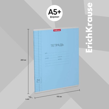 Notebook 24 sheets in a cage, Erichkrause Visio "Classic", cover coated cardboard, block offset, whiteness 100%, mix-2