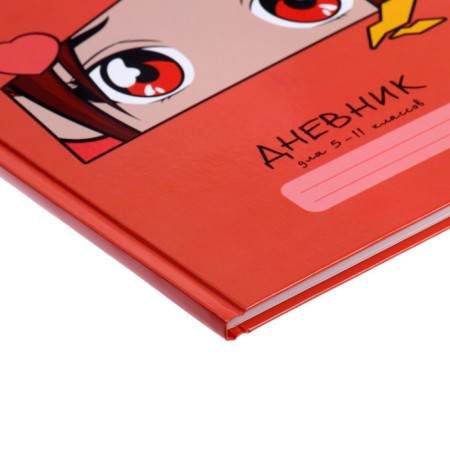 Diary for grades 5-11, 48 sheets "Anime Eye", solid cover, glossy lamination-2