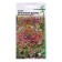 Salad Salad "Cherry haze", 700 pcs