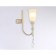 Wall lamp with crystal Ambrella Light, Traditional, TR3252, 1HE14, beige color, gold