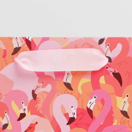 Package Gift Laminated Horizontal, Packaging, Flamingo, MS 18 x 23 x 10 cm-2