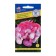 Seeds of indoor flowers geranium "apple color", F1, 5 pcs.