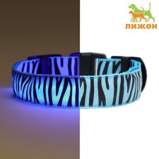 Collar with backlight tiger 3 glow modes size M, Osh 32-50 x 2.5 cm blue blue