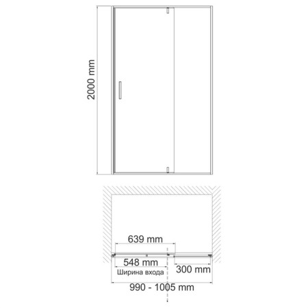 Showing door Wasserkraft AISCH 55P12, 1000x2000 mm, transparent, intensite, gold-2