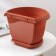 Pot with the pallet wall -mounted "Libya", 4.6 liters, the color of the terracotta