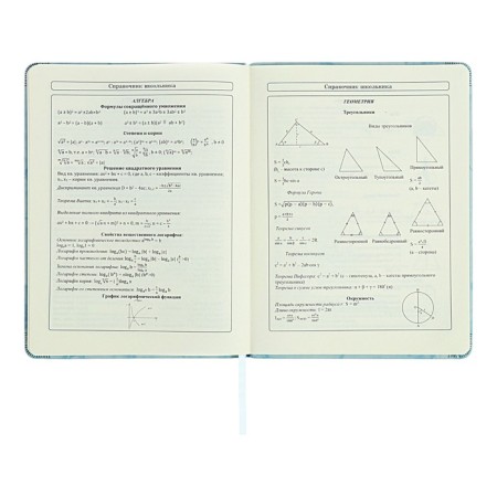 Diary 1-11 grade "Blue marble", artificial leather, a solid cover with embossing, with liesa, 48 sheets-10
