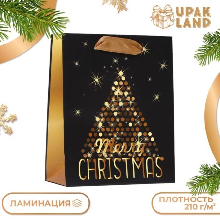 Laminated Packet "Golden Merry Christmas" 11.5 x 14.5 x 6 cm-2