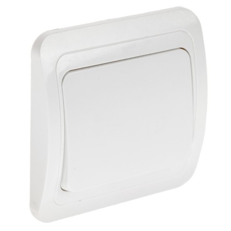 Luazon Lighting "ECB" switch, 10 A, 1 key, white-1