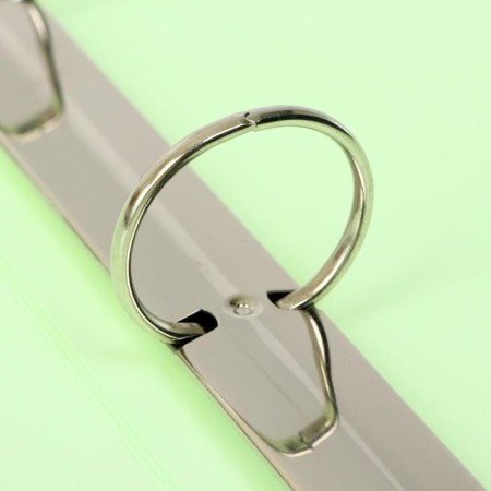 Folder on 4 rings A4, Calligrata, 40 mm, 500 μm, Salad neon-1