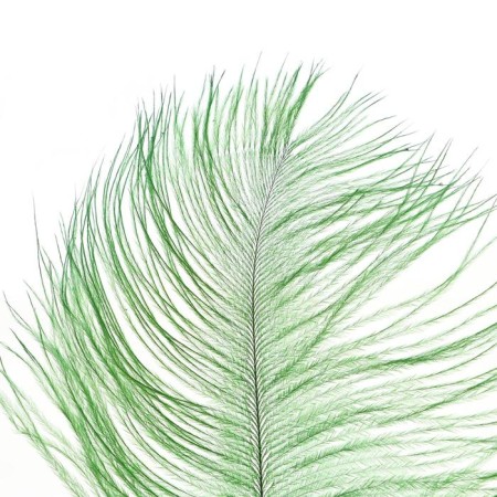 Feather for decor, length: from 45 to 50 cm, emerald color-1