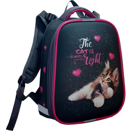 School backpack 38 x 30 x 16 cm, ergonomic back, stavia "cat is always right", gray-1