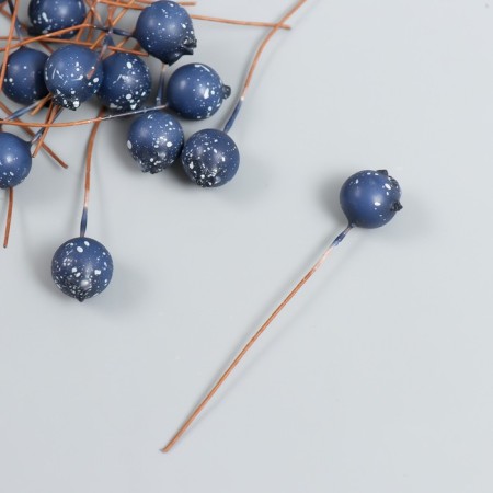 Decor for creativity "Berry - Blue" Blue D = 1 cm set 30pcs