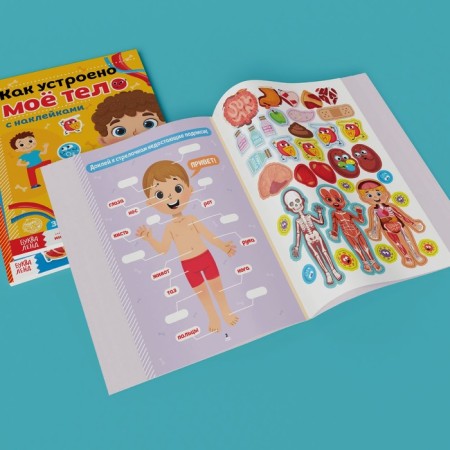 Stickers Set "Human Body", 2 pcs. 16 p.-8